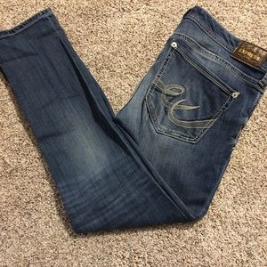 Express low rise Stella jeans